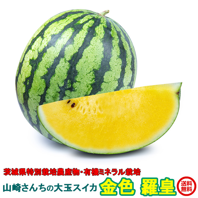 生産者限定！シャリ感と甘さが特徴の大玉スイカ羅皇