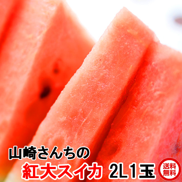超特大　スイカ　2玉　26 特大！富里スイカ 2玉 （4Lサイズ） | JA富里市産直センター