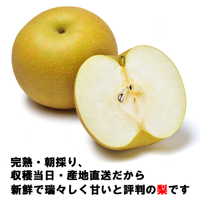 送料無料,完熟梨(秀)5kg,幸水/豊水/新高/新興,完熟収穫即日出荷