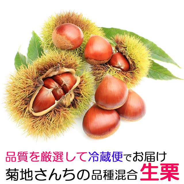 菊地さんちの生栗(筑波、丹沢)