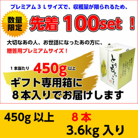 朝採りとうもろこし《収穫日出荷/即日お届け》