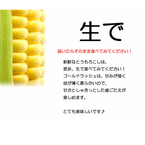 朝採りと朝採りとうもろこし収穫当日出荷