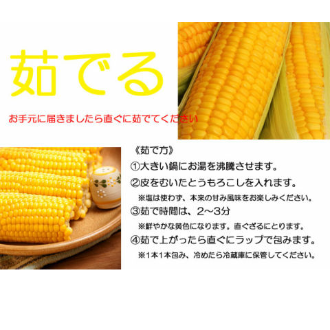 朝採りとうもろこし《収穫日出荷/即日お届け》