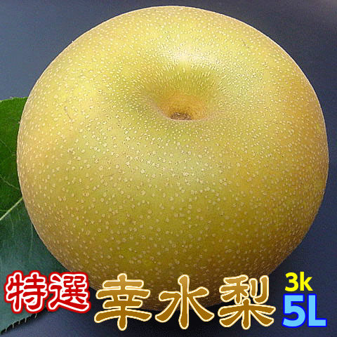 送料無料【特選完熟幸水梨5L以上3kg6玉以下】