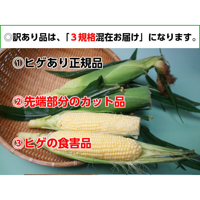 トウモロコシの訳あり