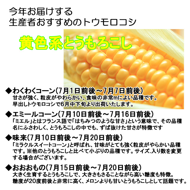 朝採りとうもろこし《収穫日出荷》