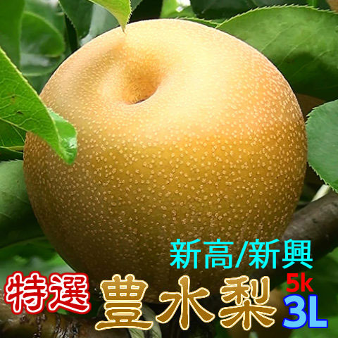 完熟梨L以上でお届け,豊水,新高,新興,収穫当日出荷