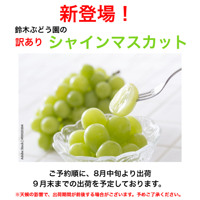 お試し【送料無料】鈴木ぶどう園の朝採り訳ありシャインマスカット