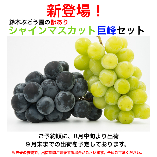 訳ありシャインマスカット　10キロ 訳あり シャインマスカット 産地直送 予約受付 約5kg(7~10房見当