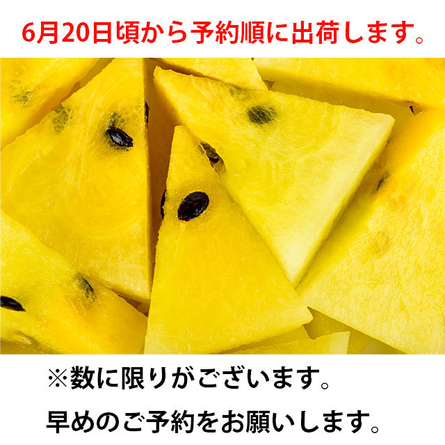 金色羅皇,大玉スイカ,シャリ感と甘で大好評の吉田さんに限定