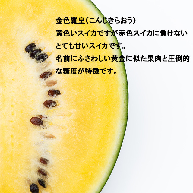 金色羅皇,大玉スイカ,シャリ感と甘で大好評の吉田さんに限定