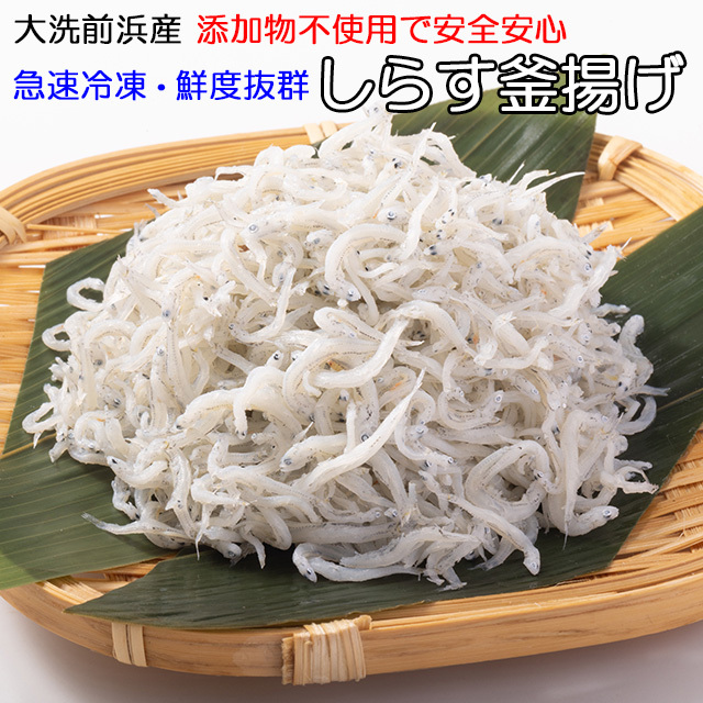 【しらす釜揚げ】化粧箱入り500g大洗前浜で獲れたカタクチイワシをそのまま加工鮮度抜群！