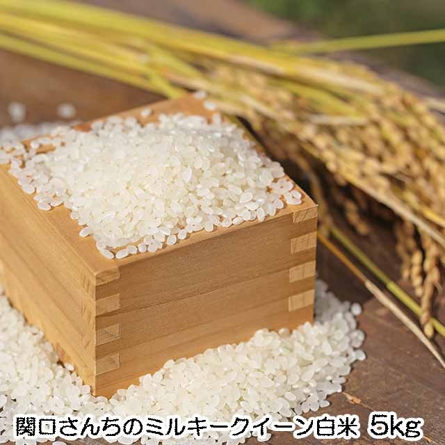 無農薬栽培米,関口さんちのミルキークイーン,白米