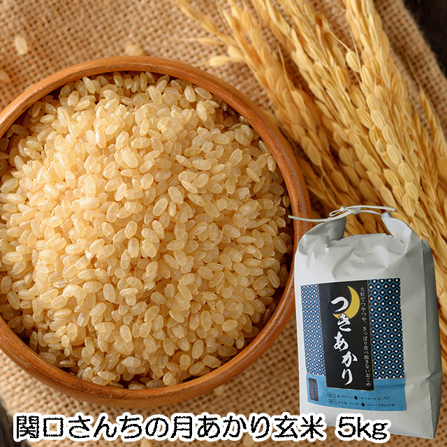 無農薬栽培米,関口さんちの月あかり,玄米