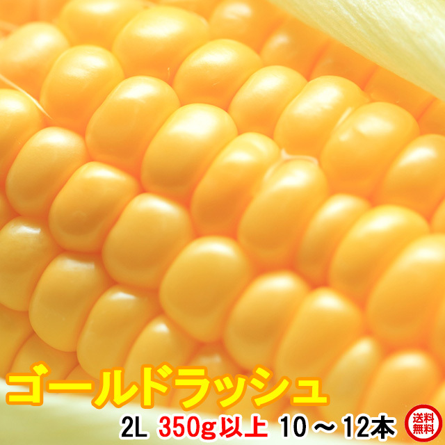 朝採りトウモロコシ当日出荷