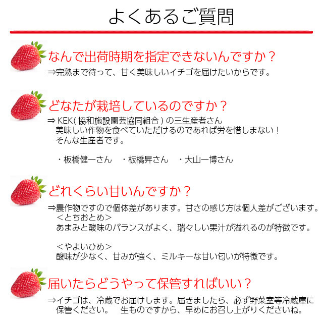 苺さま専用　サイズ確認時まで さぬきひめ Lサイズ いちご 40粒 (20粒 320g×2トレー) 1果重
