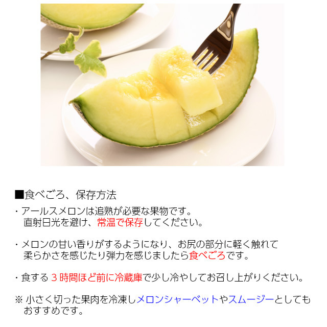 送料無料 数量限定 ギフト メロン アールスメロン 1玉 約1.3kg