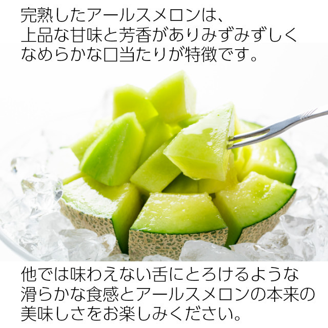 送料無料 数量限定 ギフト メロン アールスメロン 1玉 約1.3kg
