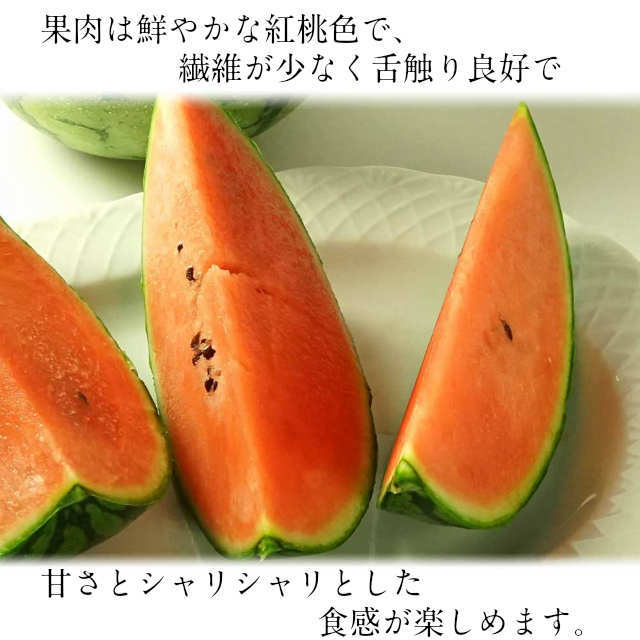 小玉スイカまなむすめ2玉約2.5kg以上紅こだまスイカ茨城県スイカ産地筑西市KEKより産地直送
