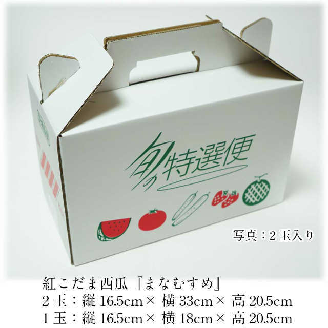 小玉スイカまなむすめ2玉約2.5kg以上紅こだまスイカ茨城県スイカ産地筑西市KEKより産地直送