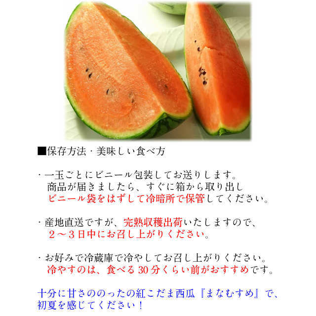 送料無料 小玉 スイカ ギフト 紅こだま西瓜 まなむすめ 1玉 約1.3kg