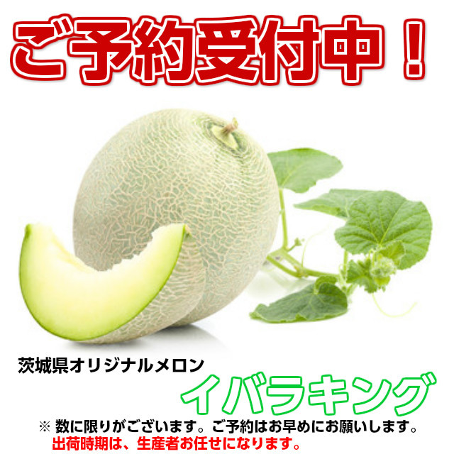 イバラキング メロン4L2玉 茨城県のこだわり特産品通販ショップ おいしいね いばらき
