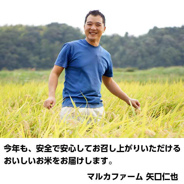 【天の川のめぐみ茨城コシヒカリ30年度産米