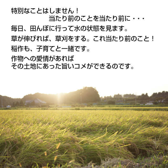 【天の川のめぐみ茨城コシヒカリ30年度産米