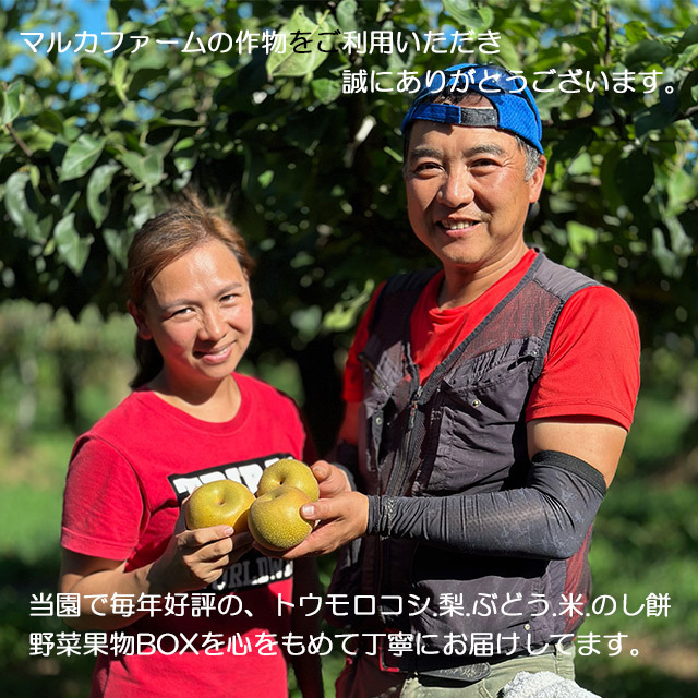 天の川のめぐみ茨城コシヒカリ令和6年度産米