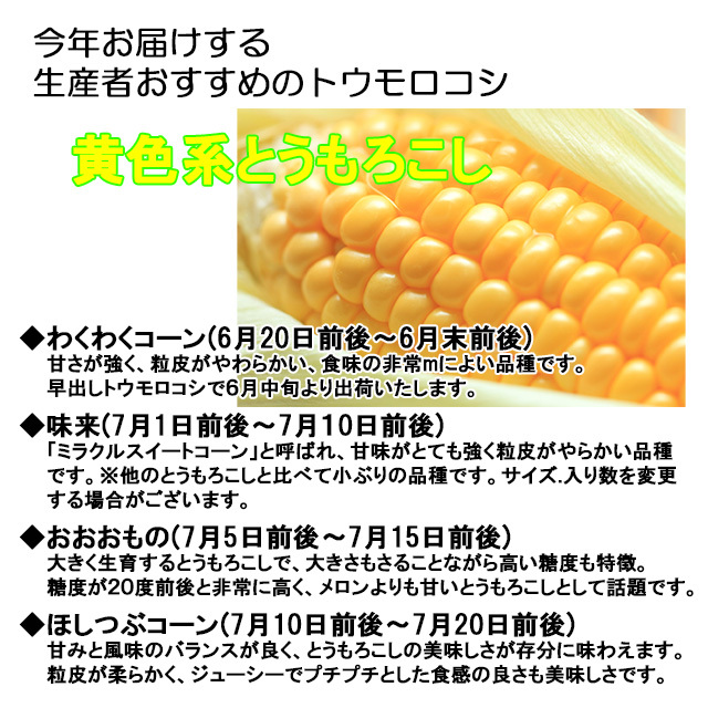 朝採りとうもろこし収穫当日出荷