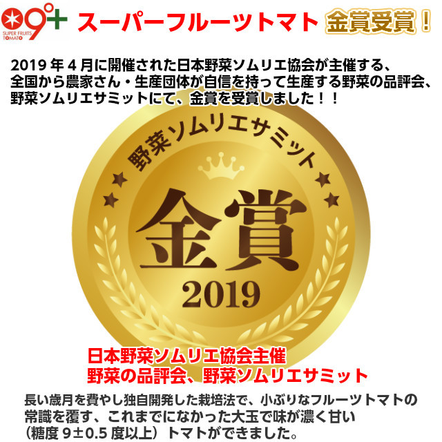 とまと。出品 ギフト フルーツトマト スーパーフルーツ トマト 大箱×2(1箱18