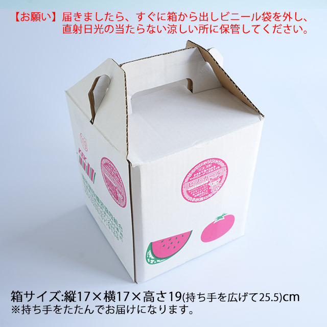 送料無料 小玉 スイカ ギフト 紅こだま西瓜 ピノガール 1玉 約