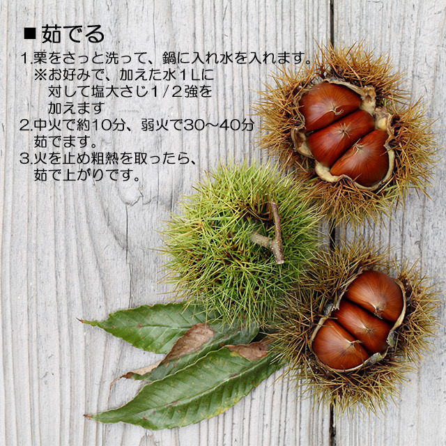 菊地さんちの生栗(利平)