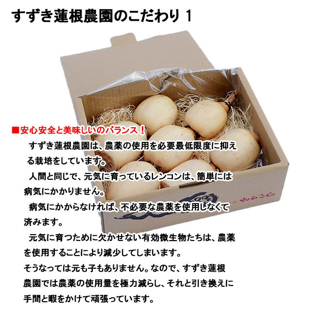 送料無料,すずき蓮根農園,れんこんパウダー
