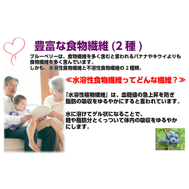 【専用】購入前にコメントお願い致します様　冷凍ブルーベリー　6キロ ブルーベリー 冷凍 1kg (500g×2) お中元 ギフト 贈答用 茨城県