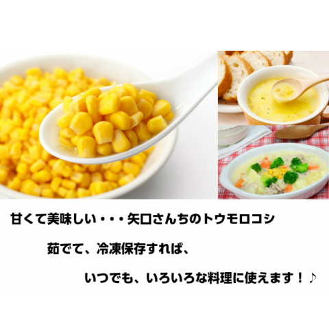 トウモロコシ訳あり３規格