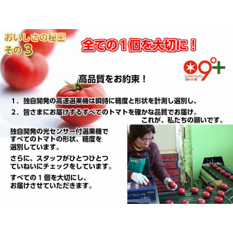Y　高糖度訳ありフルーツトマト4.3kg【600g増量中】✖️3箱 楽天市場】フルーツトマト 訳あり お試し スーパーフルーツ