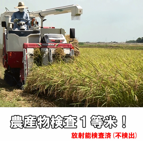 無農薬栽培米,関口さんちの月あかり,白米