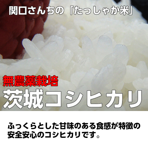茨城コシヒカリ 関口さんちの「たっしゃか米」なら 茨城県の特産