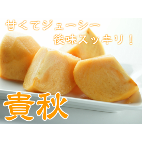 鈴木さんちの甘くてジューシーで後味スッキリ！柿「貴秋」約4k4k2L以上10～14玉