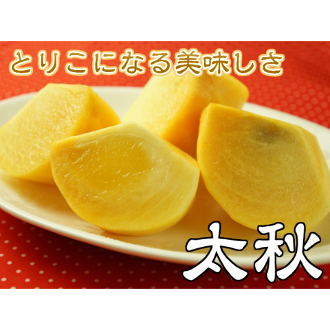 美味しい柿「太秋」約4k2L以上10～14玉