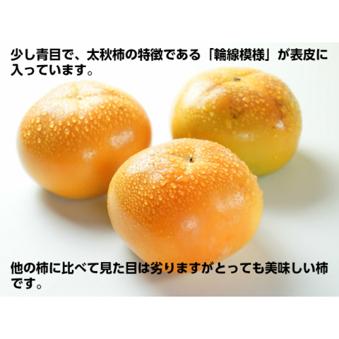 美味しい柿「太秋」約4k2L以上10～14玉