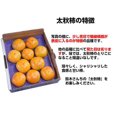 柿 ギフト 太秋柿 鈴木さんちの柿 2L以上 14～10玉 約4kg かき 太秋