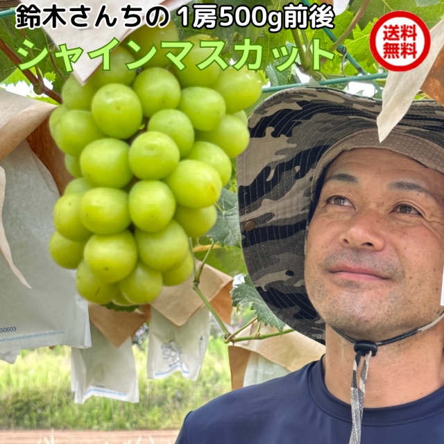 鈴木さんちのシャインマスカット1房(500g前後)