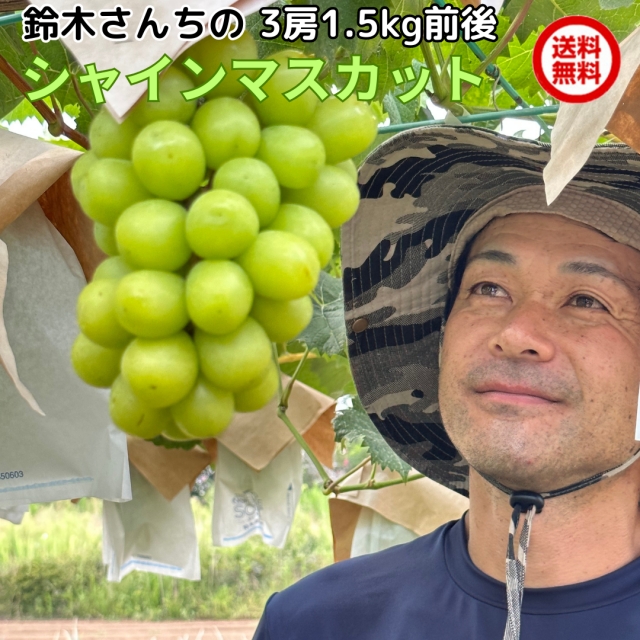 巨峰 茨城県のこだわり特産品通販ショップ おいしいね いばらき