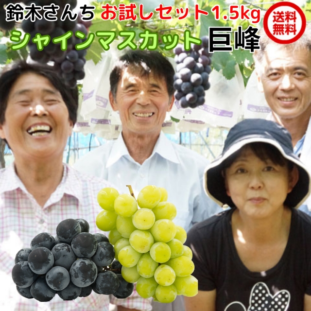 果物　葡萄　ぶどう　ブドウ　シャインマスカット　訳あり　大容量　5kg セール 楽天市場】”シャインマスカット” ちょっと訳あり 約5kg 大きさ