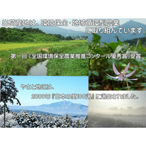 やさと平飼いたまご産み立て・クール直送