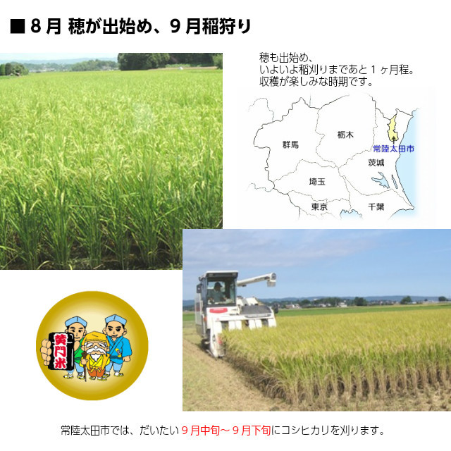 黄門米,特別栽培茨城コシヒカリ,お試し1kg