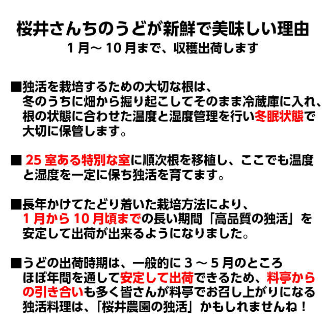 桜井さんちの「柔らか筑波白うど」