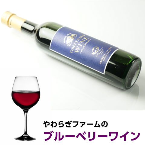 ブルーベリーワイン500ml